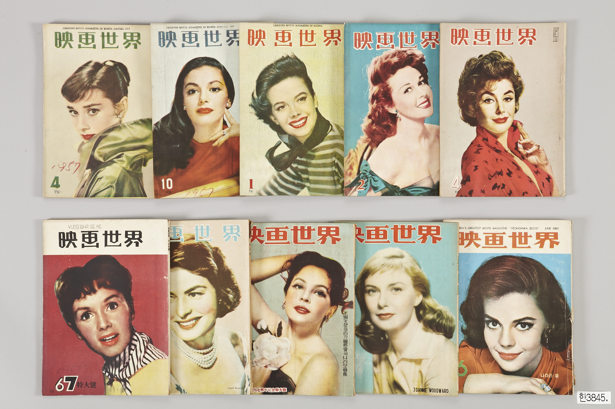 컬렉션 타이틀 이미지5